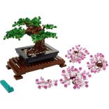 Bonsai Tree
