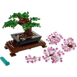 Bonsai Tree