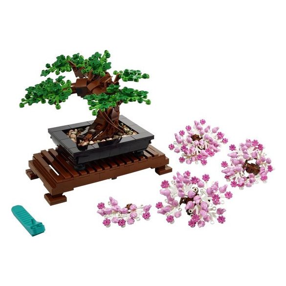 Bonsai Tree