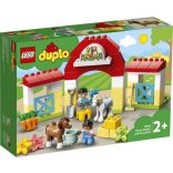 Horse Stable and Pony Care