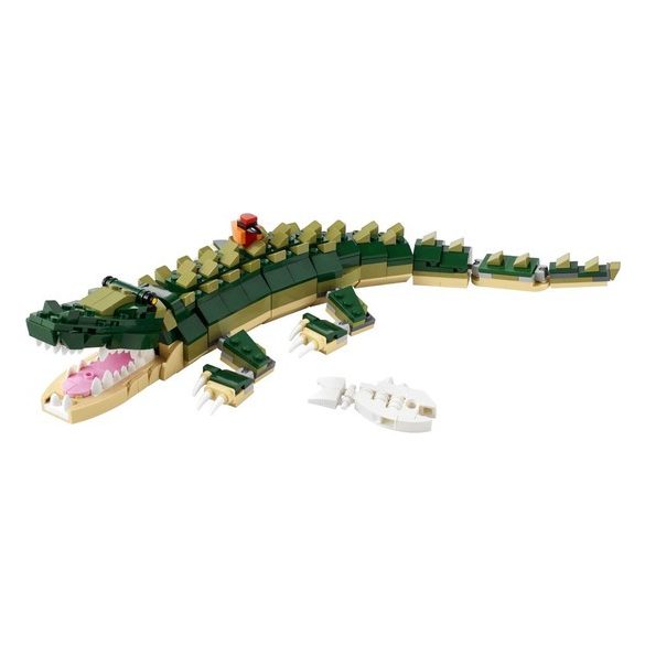 Crocodile